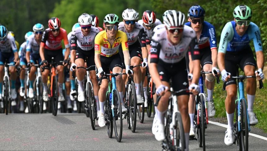 Peleton podczas wyścigu Tour de Pologne